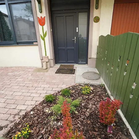 Tulip Home Apartment Vac
